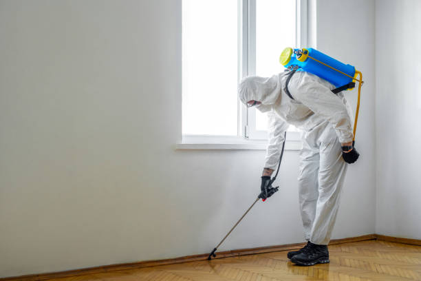 Reliable St Pete Beach, FL Pest Control Solutions
