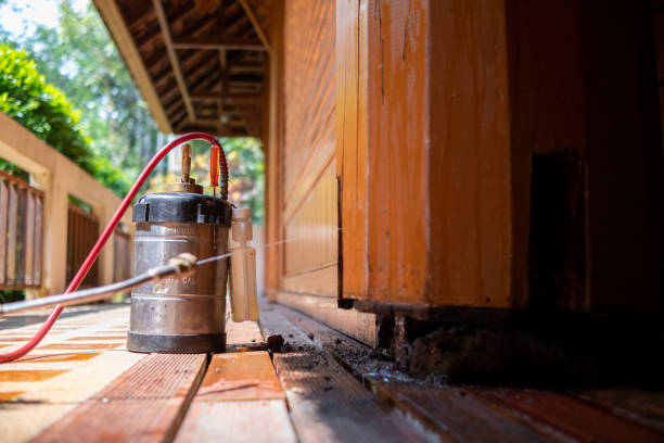 Best Cockroach Control Services  in St Pete Beach, FL